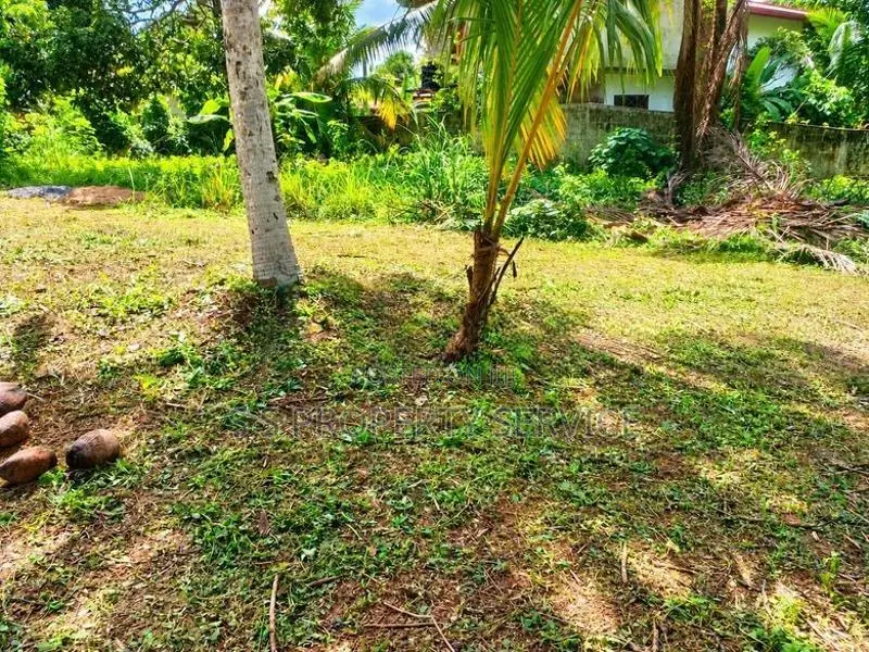 20 Perches Land For Sale in Kalagedihena (SSPL-436)