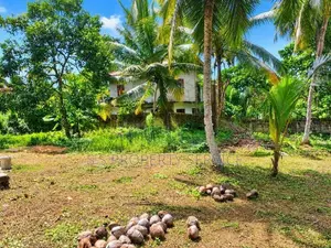 20 Perches Land For Sale in Kalagedihena (SSPL-436)