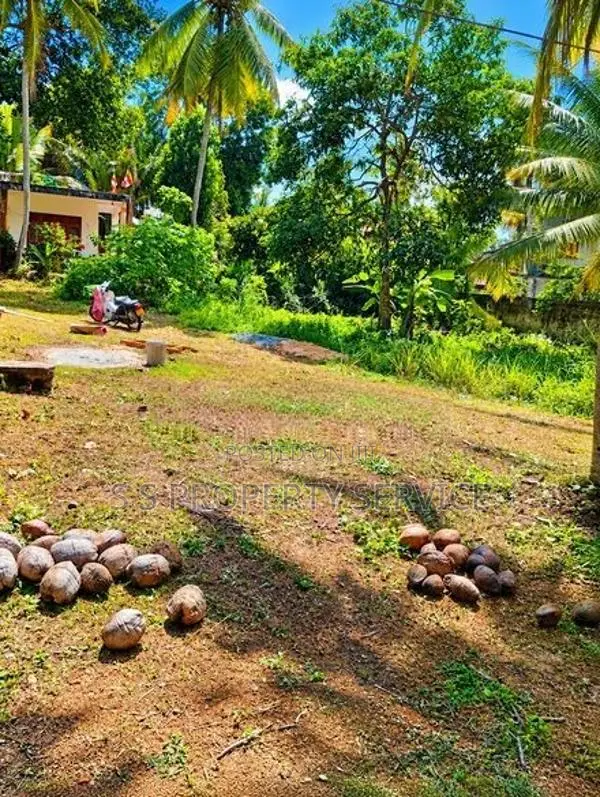 20 Perches Land For Sale in Kalagedihena (SSPL-436)