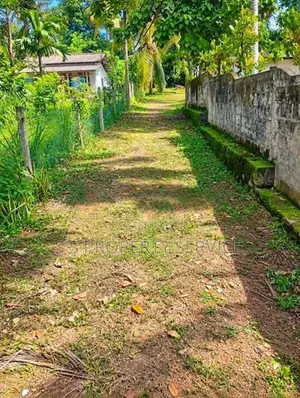 20 Perches Land For Sale in Kalagedihena (SSPL-436)