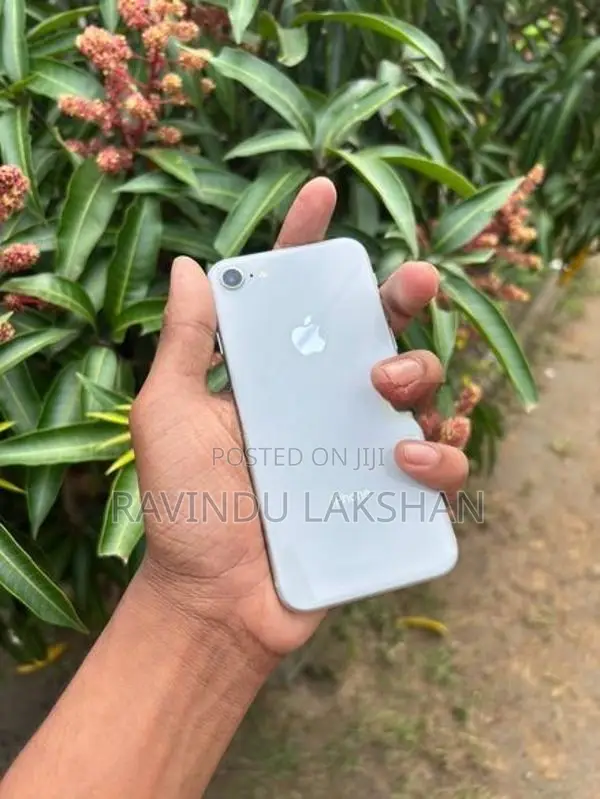 Apple iPhone 8 (Used)
