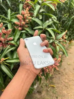 Apple iPhone 8 (Used)