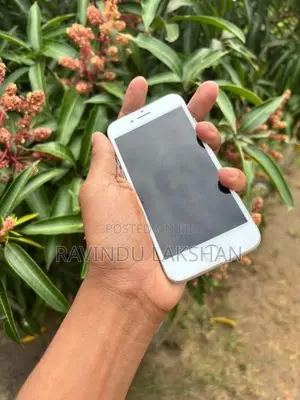 Apple iPhone 8 (Used)