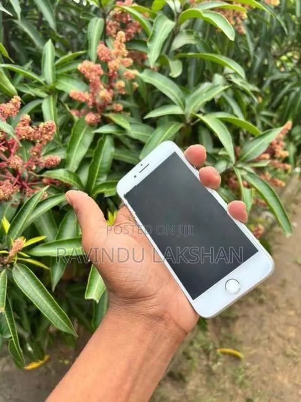 Apple iPhone 8 (Used)