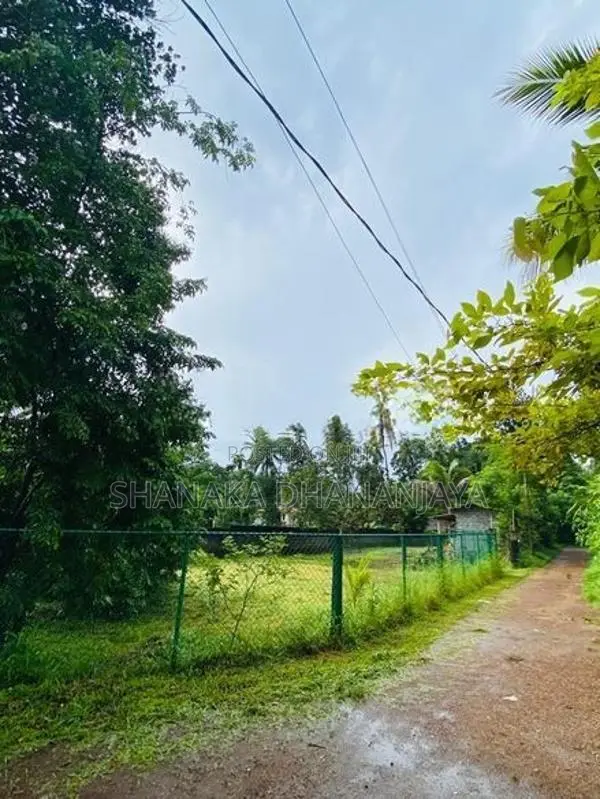 Land for Sale in Weliweriya