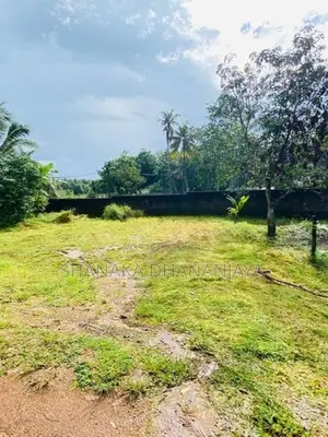 Land for Sale in Weliweriya