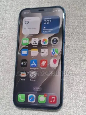 Apple iPhone 12 (Used)