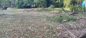 காணி விற்பனை(கல்வியங்காடு.யாழ்ப்பாணம்)