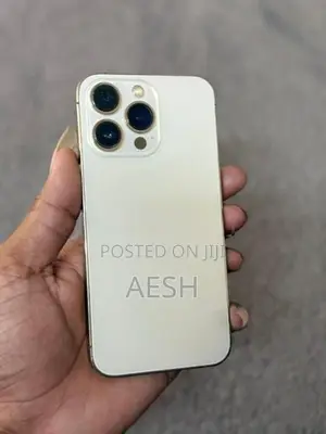Apple iPhone 13 Pro (Used)