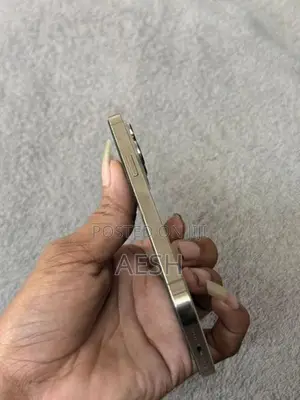 Apple iPhone 13 Pro (Used)