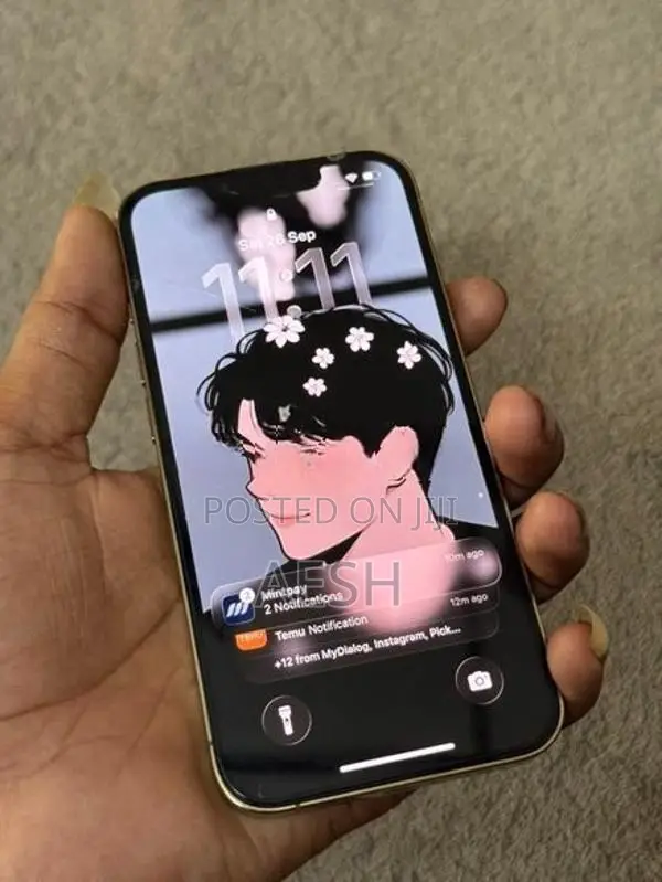 Apple iPhone 13 Pro (Used)