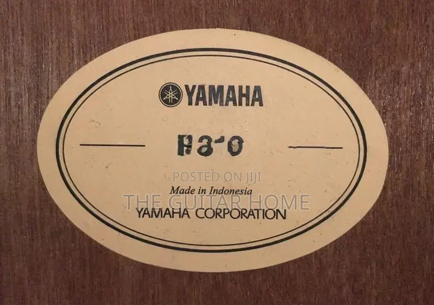 Yamaha F310 Acoustic Guitar