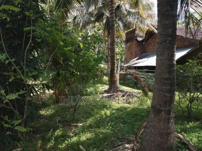 Land for Sale in Galgamuwa