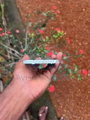 Apple iPhone 12 (Used)