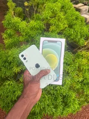 Apple iPhone 12 (Used)