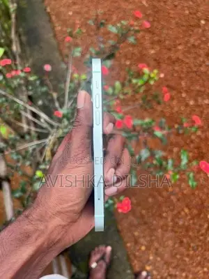 Apple iPhone 12 (Used)