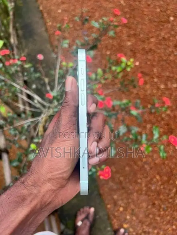 Apple iPhone 12 (Used)