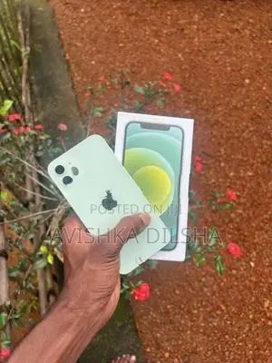 Apple iPhone 12 (Used)