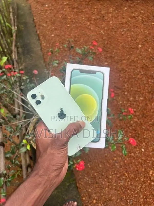 Apple iPhone 12 (Used)