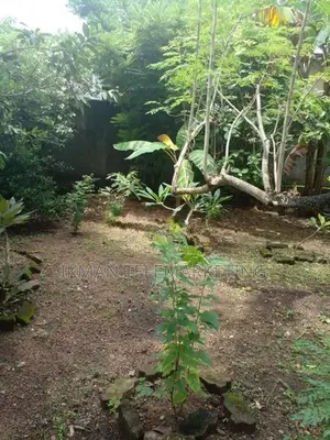Bare Land for Sale – Etul Kotte