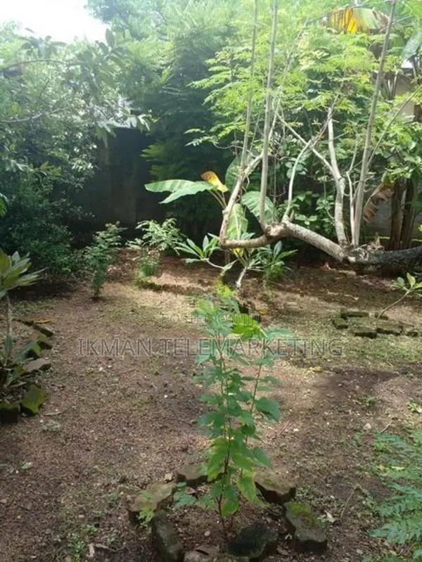 Bare Land for Sale – Etul Kotte