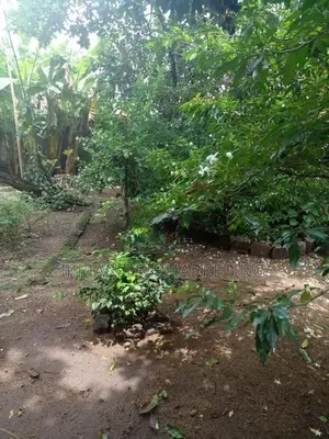 Bare Land for Sale – Etul Kotte