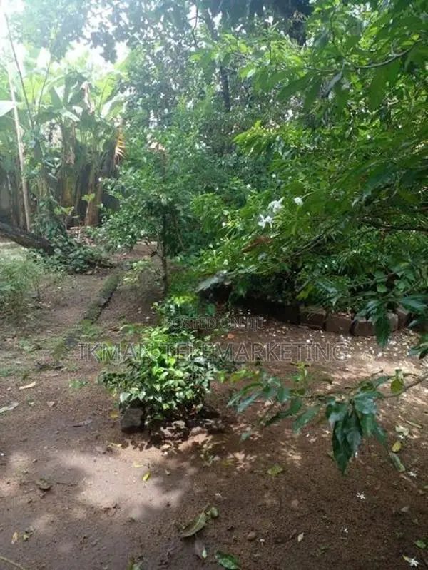 Bare Land for Sale – Etul Kotte