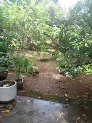 Bare Land for Sale – Etul Kotte