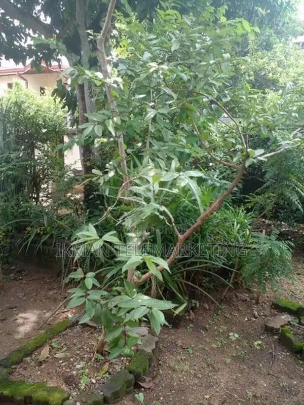 Bare Land for Sale – Etul Kotte