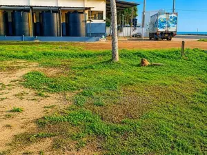 Land For Sale in Devinuwara -Matara (SSPL-438)