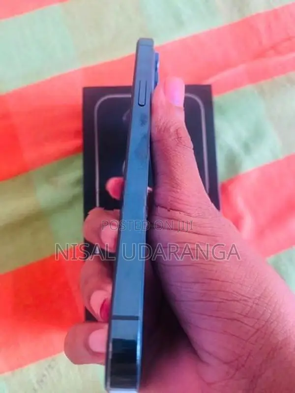 Apple iPhone 12 Pro Max (Used)