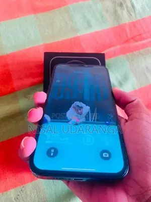 Apple iPhone 12 Pro Max (Used)