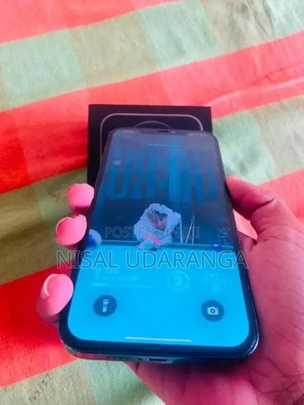 Apple iPhone 12 Pro Max (Used)