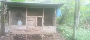 Kuduwak