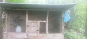Kuduwak