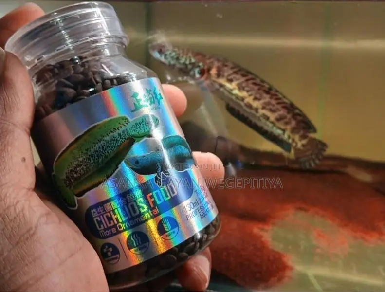 Snakehead Fish Food