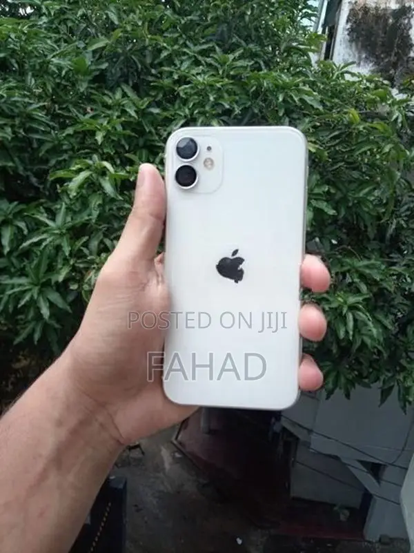 Apple iPhone 11 (Used)
