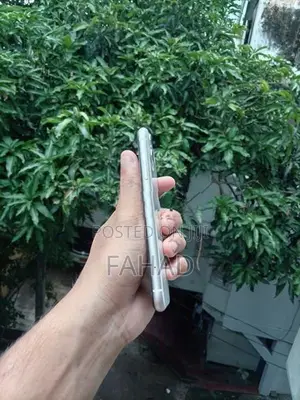 Apple iPhone 11 (Used)