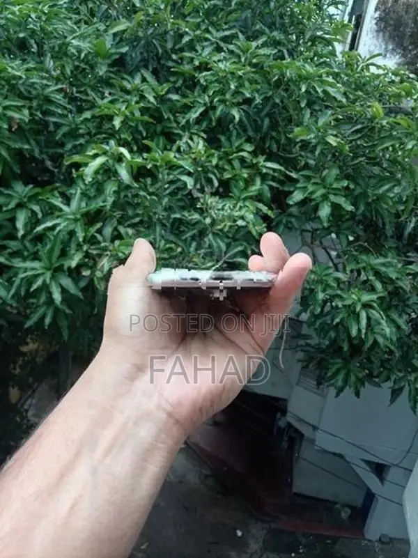 Apple iPhone 11 (Used)