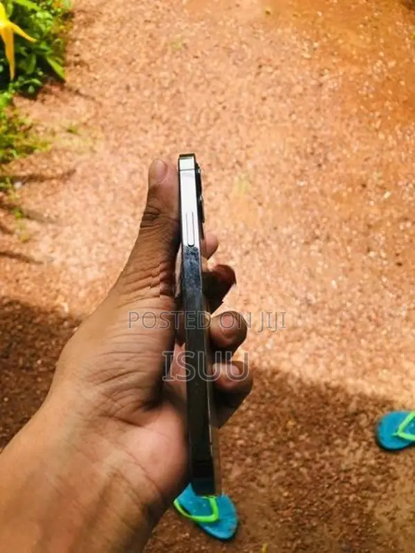 Apple iPhone 12 Pro (Used)