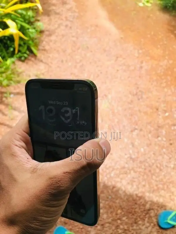 Apple iPhone 12 Pro (Used)