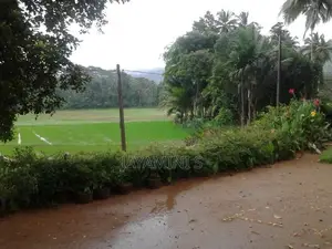 කොටියාකුඹුර නගරයට නුදුරින් නිවසක් කුලියට දීමට