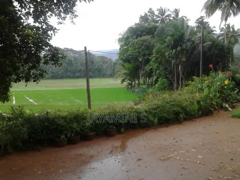 කොටියාකුඹුර නගරයට නුදුරින් නිවසක් කුලියට දීමට