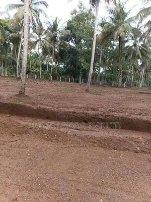 කුරුණෑගල නුවර පාර සමිපයෙන් ඉඩමක් විකිණීමට