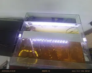 Fish Tank