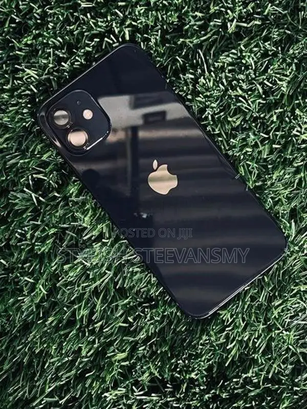 Apple iPhone 12 (Used)