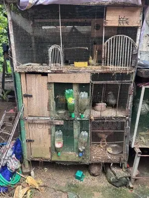Birds Breeding Cage