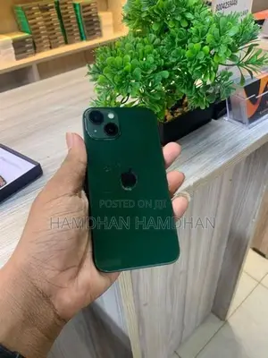 Apple iPhone 13 (Used)