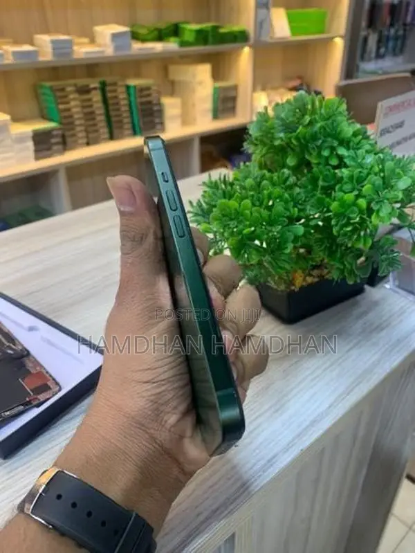 Apple iPhone 13 (Used)
