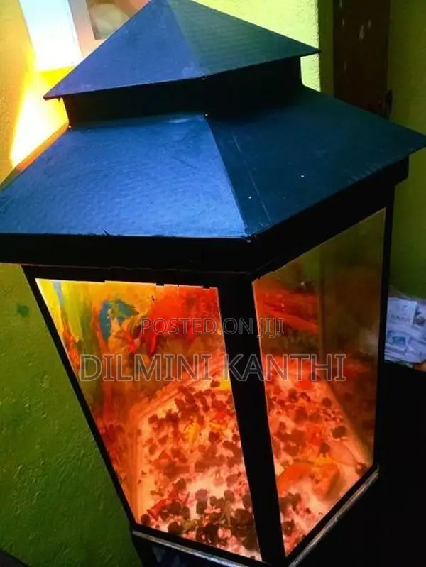Fish Tank With Stand